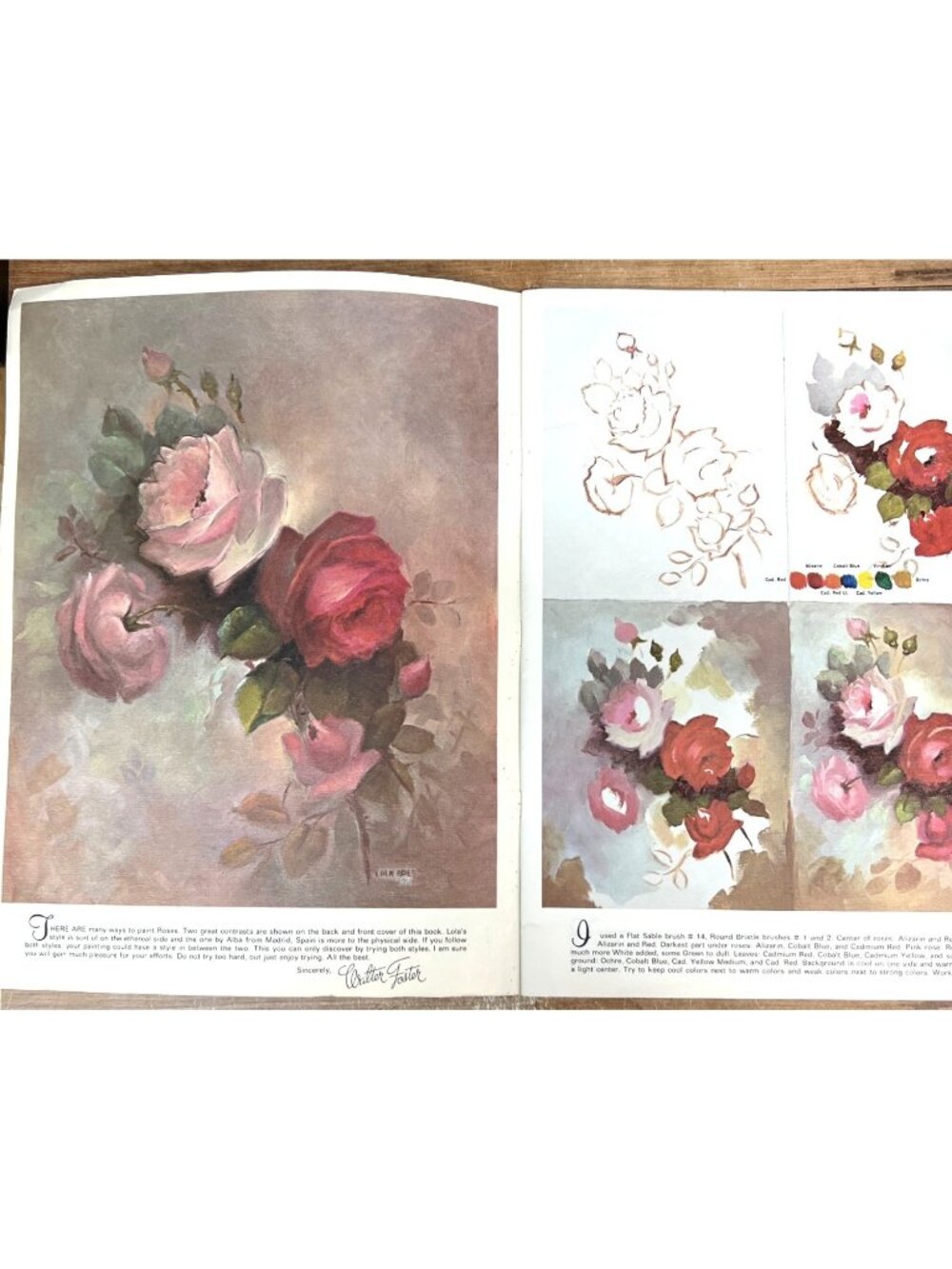 How To Draw And Paint Roses & Other Flowers By Lola Ades Walter Foster Publishin
